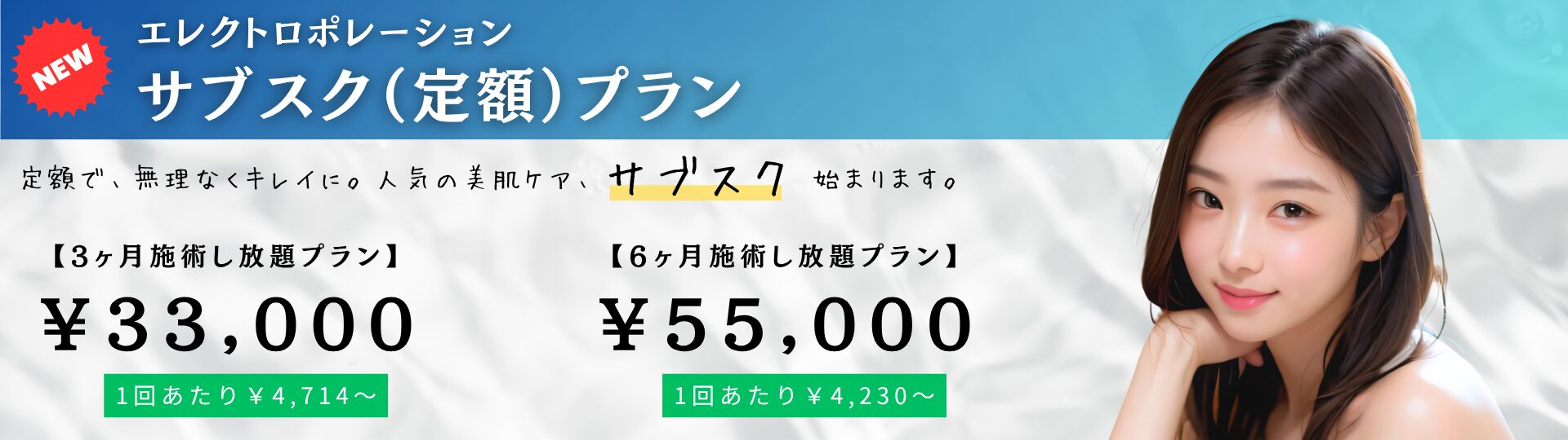 エレクトロポレーション サブスクバナー